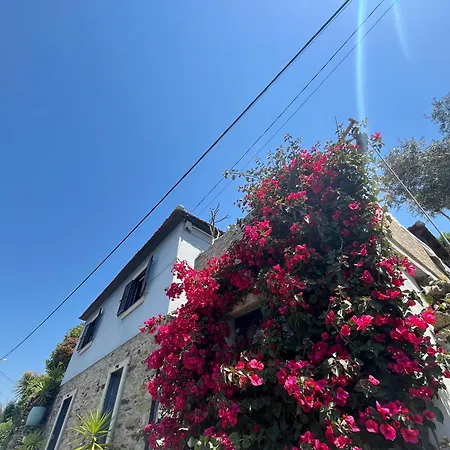 Douro Rural بيت للعطل *