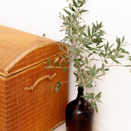 Дом отдыха Douro Rural *