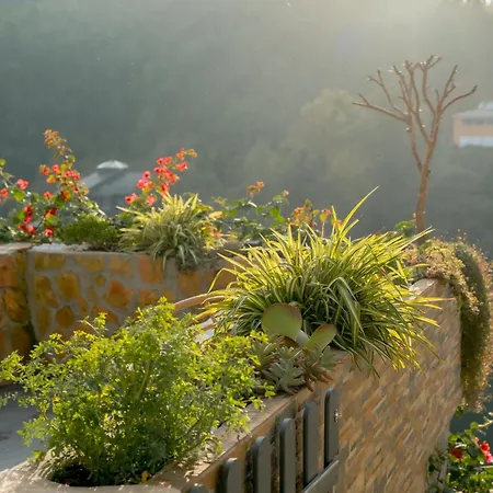 Douro Rural *