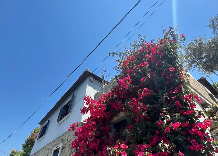 Douro Rural Ferienhaus *