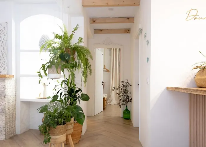 Сasa de vacaciones Douro Rural Melres